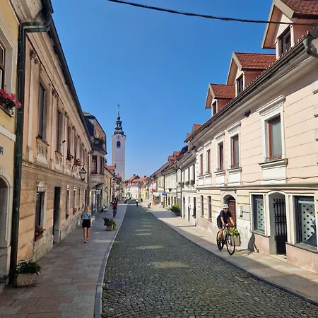 Gala Lenassi Apartment Kamnik