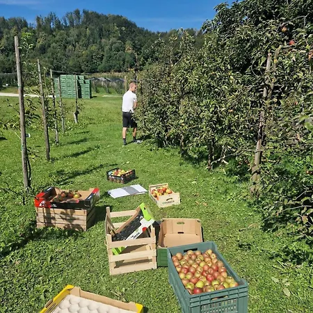 Gala Lenassi Διαμέρισμα *