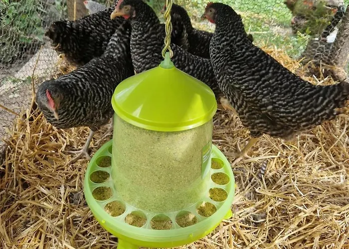 Gala Lenassi * Kamnik