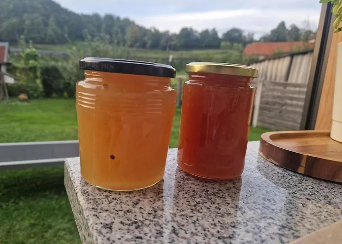 Gala Lenassi Appartement