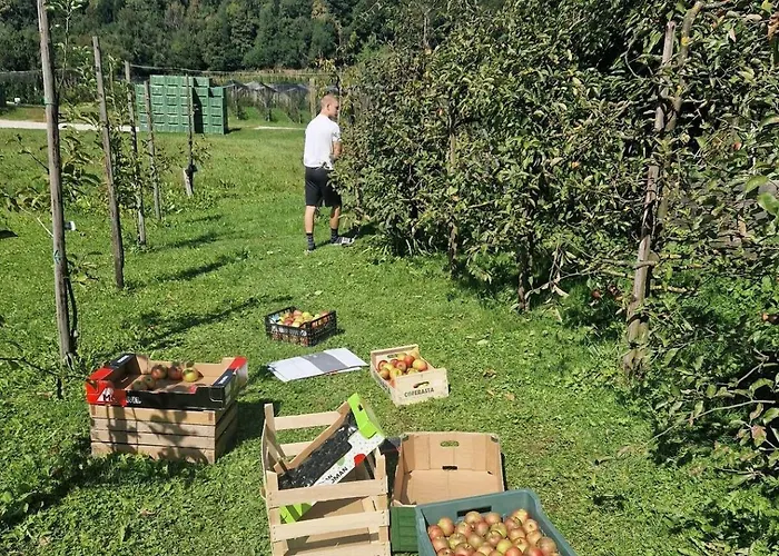 Gala Lenassi Apartment *